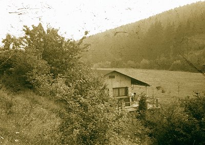 Vintage sepia-toned rural scene featuring a small wooden cabin with a porch overlooking a lake, surrounded by dense shrubbery...