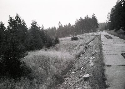Black-and-white image of a **stone causeway** cutting through a **wetland** or **marshy terrain**, flanked by dense **pine fo...