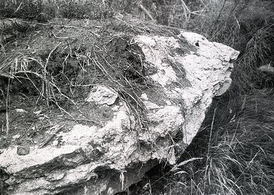 Weathered concrete slab partially buried in dry grass, showing signs of erosion and vegetation growth. Likely a remnant of mi...