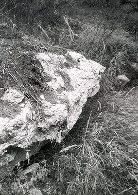 Weathered stone slab partially buried in dry grass, likely a historic foundation or ruin. Textured surface suggests aged cons...