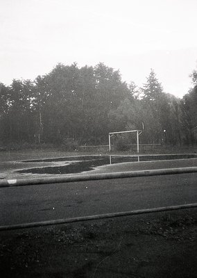 Empty basketball court in light rain, framed by dense evergreen forest. Wet asphalt reflects muted light; goalpost stands alo...