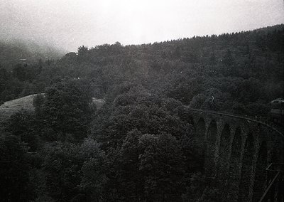 Dense forest landscape with a winding road and retaining wall, captured in monochrome. Mist obscures distant treetops, emphas...