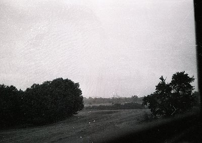 Vintage black-and-white landscape showing dense forest framing a misty, open meadow under overcast skies. Possible early-to-m...