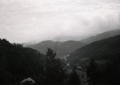 Black-and-white aerial view of a mist-shrouded valley with dense forest and scattered buildings, likely European alpine regio...