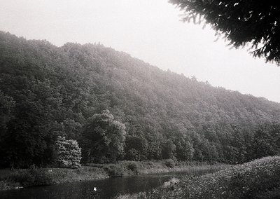 Dense forest framing a misty riverbank, likely mid-20th century monochrome. Overgrown vegetation and shallow water suggest a ...