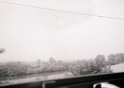 Blurred monochrome shot from a moving vehicle, showing a wet roadside and distant treeline under overcast skies. Raindrops di...