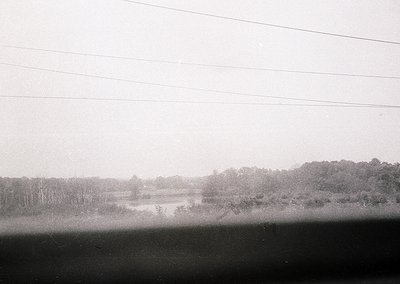 Black-and-white landscape shot of a serene wetland area with dense foliage and a small body of water, framed by power lines. ...