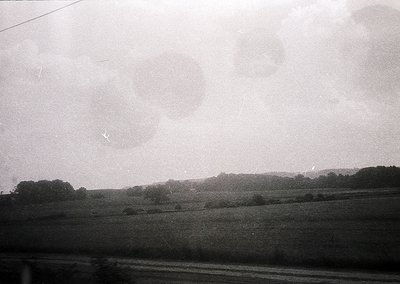 Vintage black-and-white landscape shot of open fields with scattered trees under overcast skies. Minimalist composition highl...