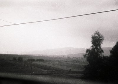Mid-20th century black-and-white rural landscape: misty fields, sparse trees, and distant hills under overcast skies. Power l...