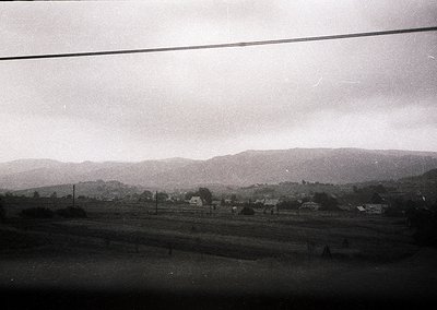 Black-and-white rural landscape featuring scattered farmhouses and dense forest on rolling hills. Overcast sky and power line...