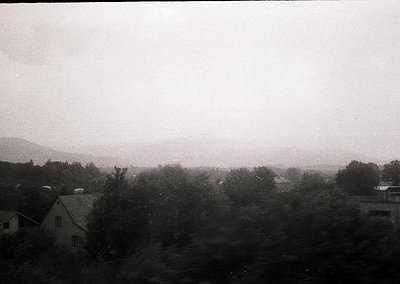 Vague black-and-white landscape shot featuring low-contrast rural scenery. Dense forest in foreground with scattered building...