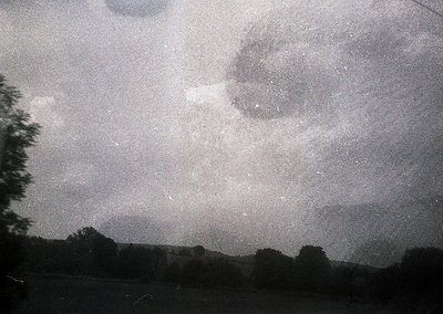 Vintage sepia-toned aerial view of dense forest canopy under overcast skies. Likely mid-20th century due to grainy texture an...