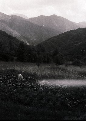 Striking black-and-white landscape of rugged alpine terrain with misty riverbed and distant peaks. Dense forest frames the va...