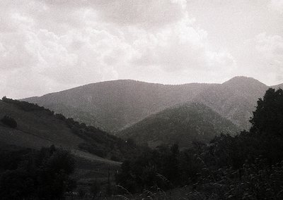Black-and-white landscape of rolling hills and dense forest under overcast skies. Dramatic lighting enhances texture of terra...
