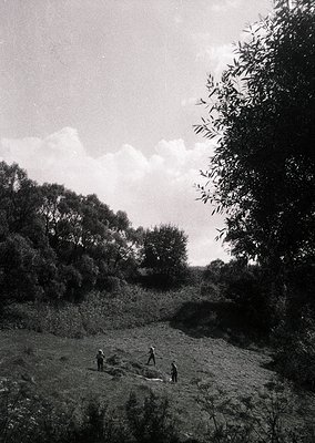 Mid-20th century rural scene: three figures in traditional attire harvest crops in an open field, framed by dense foliage and...