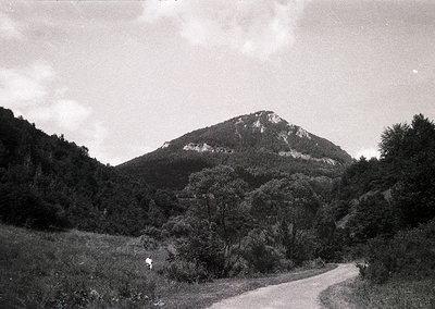 Black-and-white landscape featuring a lone figure ascending a winding dirt road toward a rocky peak surrounded by dense fores...