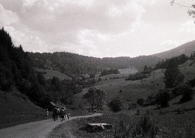 Black-and-white rural scene featuring a winding dirt road flanked by dense forest and rolling hills. A group of people, likel...