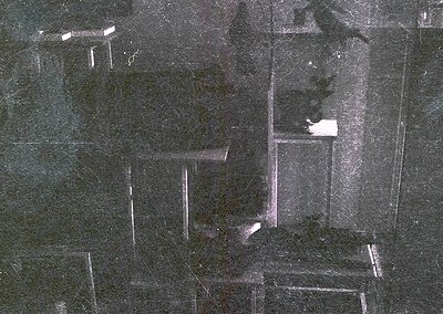 Close-up of geometric marble tiles with dark veining, arranged in a staggered herringbone pattern. The polished surface refle...