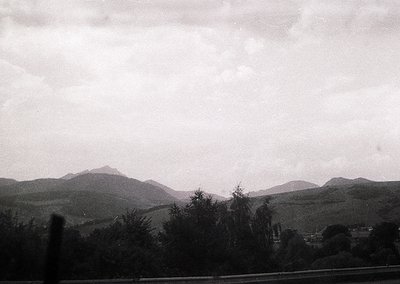 Vintage black-and-white landscape featuring rolling hills and misty mountains under overcast skies. Foreground shows dense tr...