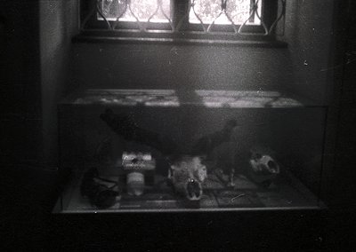 Vintage black-and-white shot of a dimly lit window shelf holding vintage glassware and crockery. Distressed, aged bottles and...