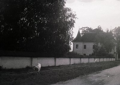 Black-and-white rural scene featuring a white cow grazing near a low stone wall. Behind it, a two-story building with steep g...
