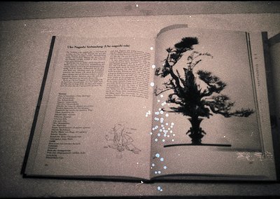 Open vintage botanical book featuring a black-and-white illustration of a tree silhouette on the right page, likely a bonsai ...