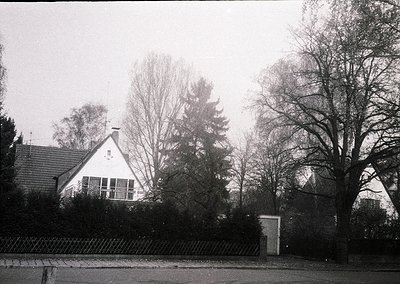 Mid-century suburban home with gabled roof and white exterior, framed by dense evergreen trees and leafless deciduous foliage...