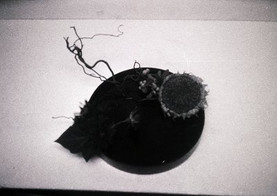 Vintage black-and-white close-up of a worn, frayed hat with frayed brim and frayed strings attached. Likely a 1950s–1970s acc...