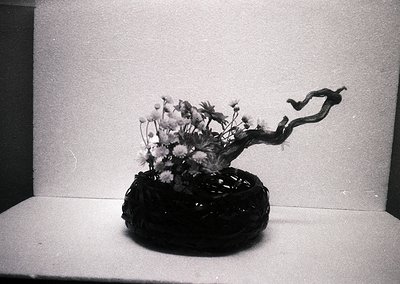 Black-and-white still life featuring a ceramic vase with twisted, organic handle holding wildflowers. Textured, matte surface...