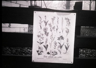 Vintage botanical guideboard featuring detailed black-and-white illustrations of 24 European wildflowers. Text in German read...