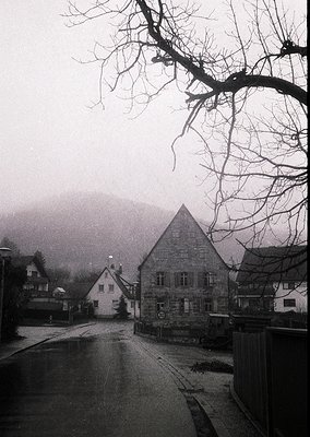 Misty village street with stone buildings, including a prominent gabled structure and smaller half-timbered homes. Bare trees...