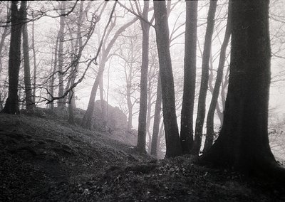 Misty forest glade with leafless trees framing a partially obscured stone ruin. Monochrome, high-contrast composition evokes ...