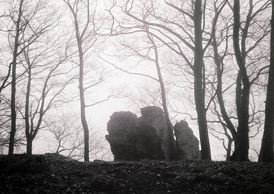 Black-and-white silhouette of three human figures standing on rocky terrain, enveloped in misty forest. Bare trees frame the ...