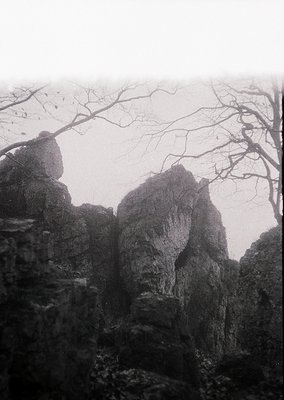 Vintage sepia-toned photograph of rugged, eroded rock formations under leafless trees in misty conditions. Likely early-to-mi...