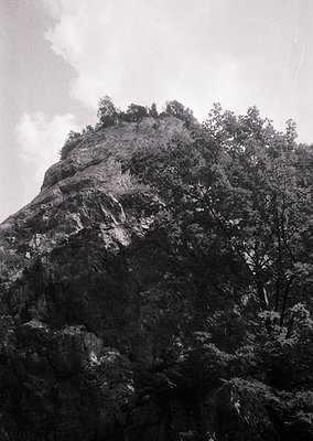 Monochrome close-up of rugged alpine rock face with sparse coniferous trees clinging to summit. Dramatic texture contrasts sh...