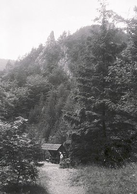 Black-and-white mountain hut nestled in dense coniferous forest, likely European Alps. Small wooden structure with sloped roo...
