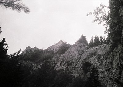 Black-and-white mountain landscape featuring jagged peaks and dense coniferous forest. Mist obscures distant ridges, enhancin...