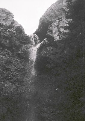Powerful waterfall cascading between rugged rock walls, framed by dense forest. Dramatic vertical composition highlights mist...