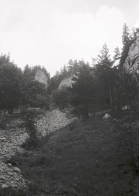 Misty alpine valley with rocky riverbed and dense coniferous forest. Dramatic rock formations frame the scene, suggesting rug...