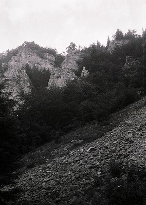 Dramatic monochrome mountain landscape with rugged rock formations and dense forest. Overcast skies enhance the moody, textur...