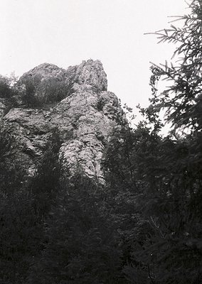 Towering rock formation rising from dense forest, captured in high-contrast black-and-white. Jagged, weathered surface contra...