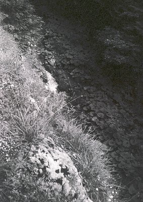 High-contrast black-and-white shot of a narrow, rocky stream bed with sparse vegetation. Dry river stones and tufted grass fr...