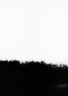 High-contrast black-and-white landscape featuring dense forest under low-hanging clouds. Dense tree canopy dominates lower ha...