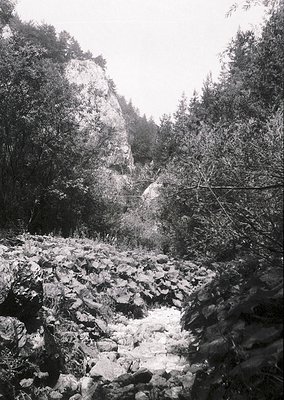 Black-and-white mountain trail winding through rocky terrain, flanked by dense coniferous forest. Mist or low clouds obscure ...