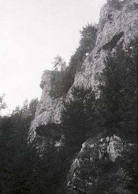 Dramatic monochrome close-up of rugged limestone cliffs with jagged, weathered rock formations. Dense forest base contrasts w...
