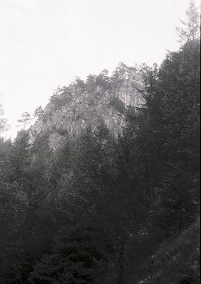 Misty mountain ridge shrouded in dense forest, captured in monochrome. Vertical rock face rises steeply, covered in evergreen...