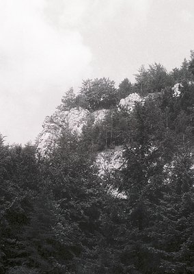 Snow-capped rocky outcrop partially obscured by dense evergreen forest. Dramatic monochrome contrast highlights rugged terrai...