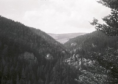Vintage black-and-white mountain valley scene with dense coniferous forests flanking a narrow, rocky gorge. Overcast skies en...