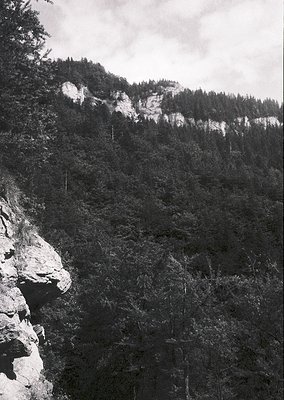 Dramatic monochrome mountain landscape with rugged cliffs and dense coniferous forest. Snow patches highlight elevation contr...