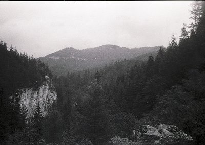 Dense coniferous forest framing a steep, rocky valley with misty alpine peaks in background. Black-and-white monochrome sugge...